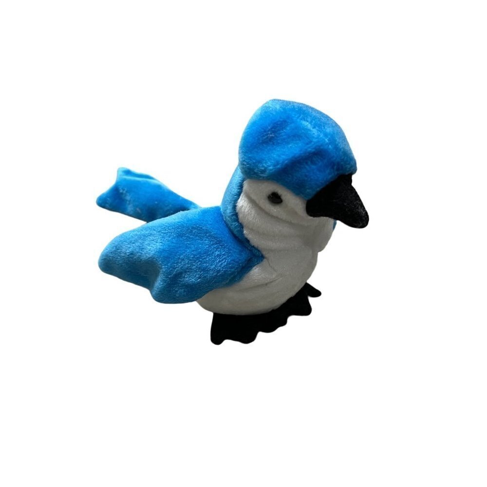 TY Beanie Baby- Rocket the Blue Jay Bird